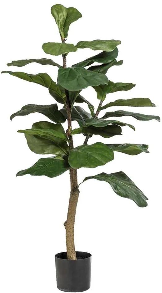 Ficus Lyrata in pot - 90 cm - Leen Bakker