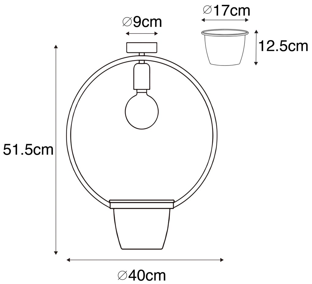 Moderne plafondlamp zwart met glas rond - Roslini Modern E27 Binnenverlichting Lamp