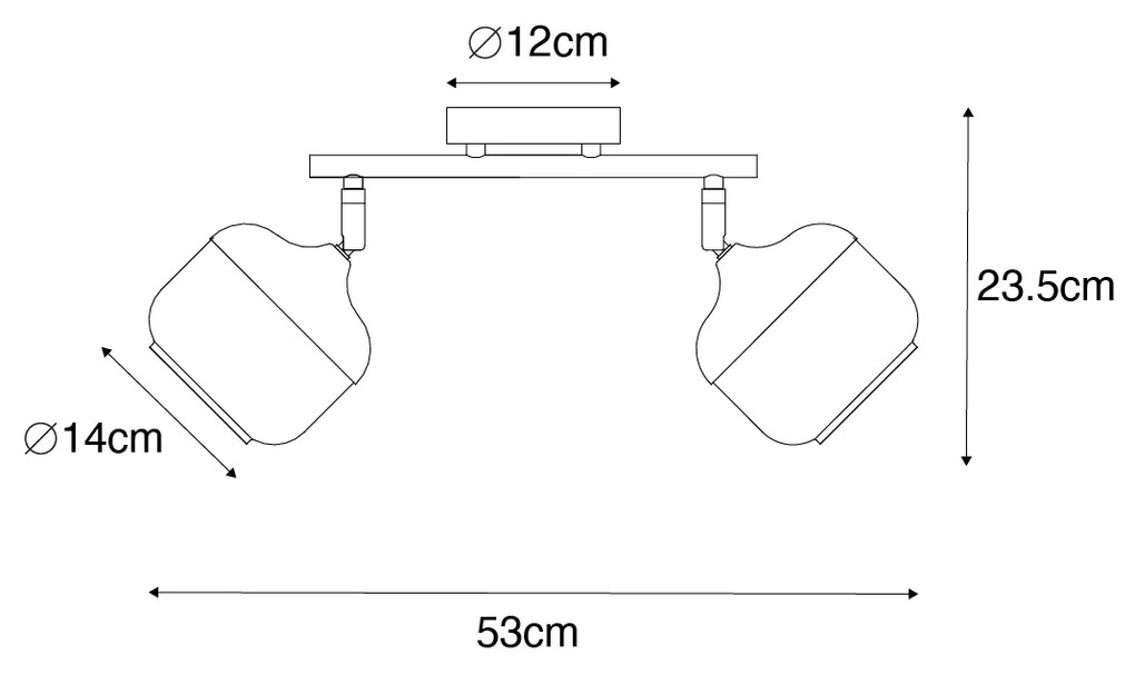 Design spot zwart met goud en smoke glas 2-lichts - Kyan
