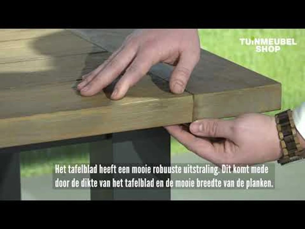 Dining Tuintafel rechthoekig 300 x 100 cm Aluminium/teak Grijs San Francisco