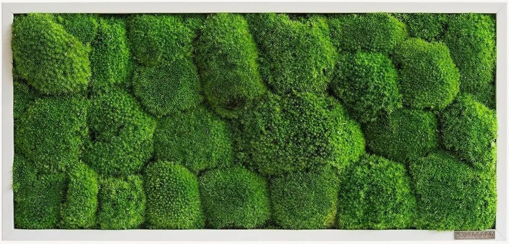 Handgemaakt bolmos wanddecoratie Forest, ingelijst