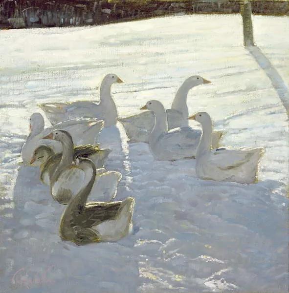 Timothy Easton - Kunstdruk Geese Against the Light, (40 x 40 cm)
