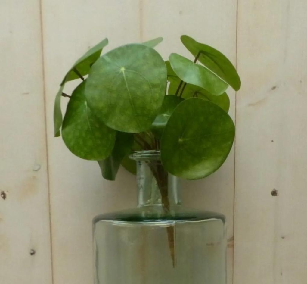 Kunstpannenkoekplant op steker 25 cm