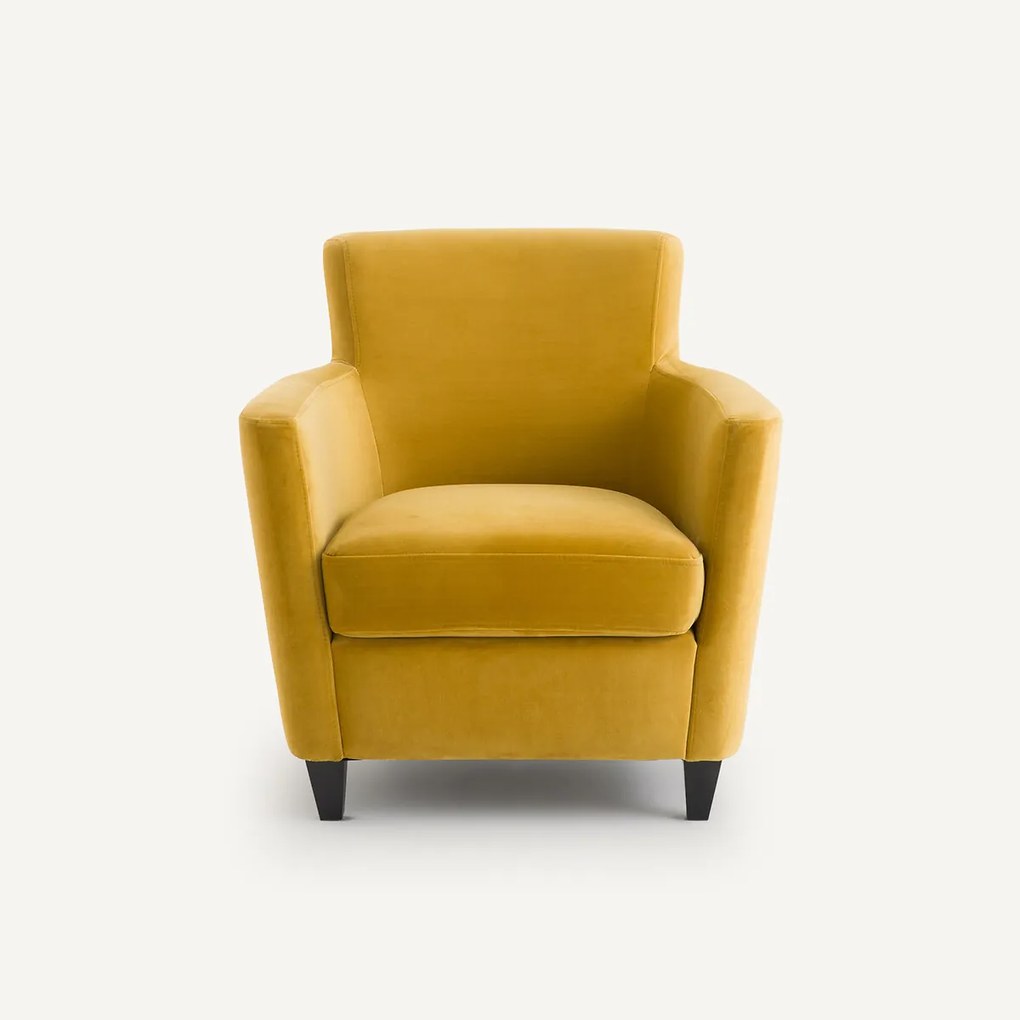 Fluwelen club fauteuil Mathesson