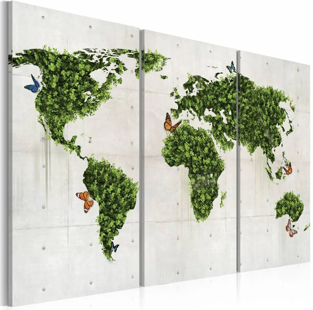 Schilderij - Wereldkaart - Groene land van Vlinders, Groen/Grijs, 3luik