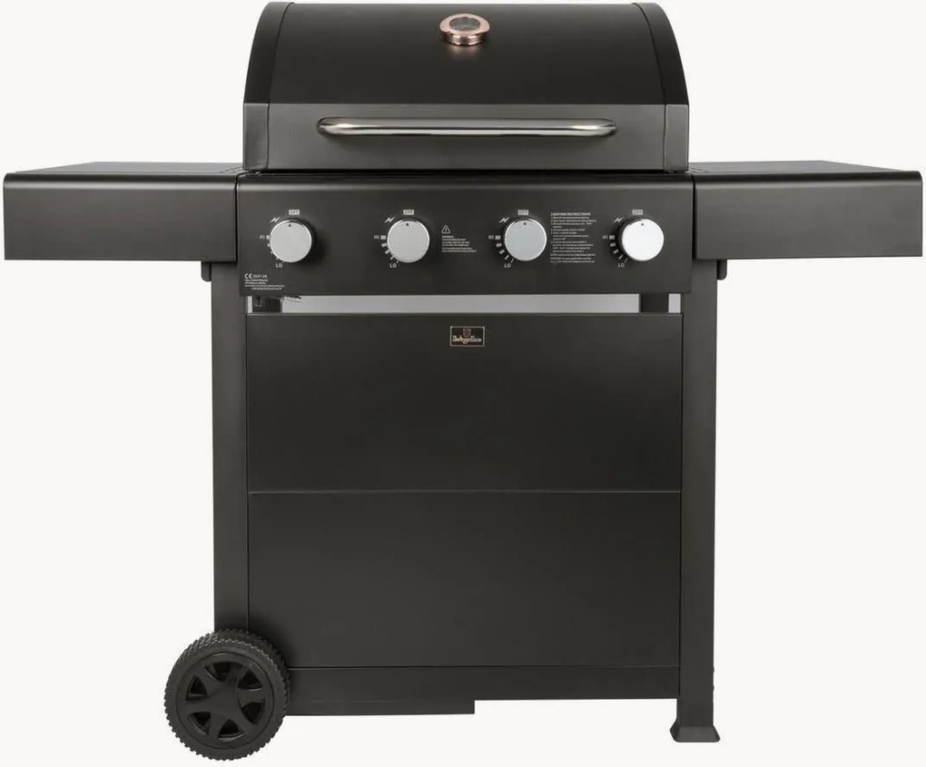 Gas Bbq grill Outdoor
