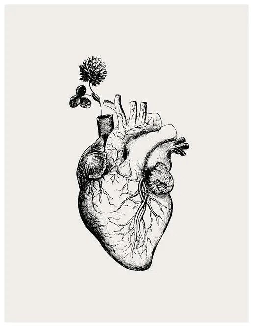 Ilustratie Heart Bloom, KsanaKalpa