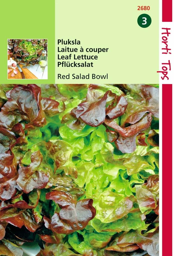 Red Salad Bowl Rode Eikenbladsla