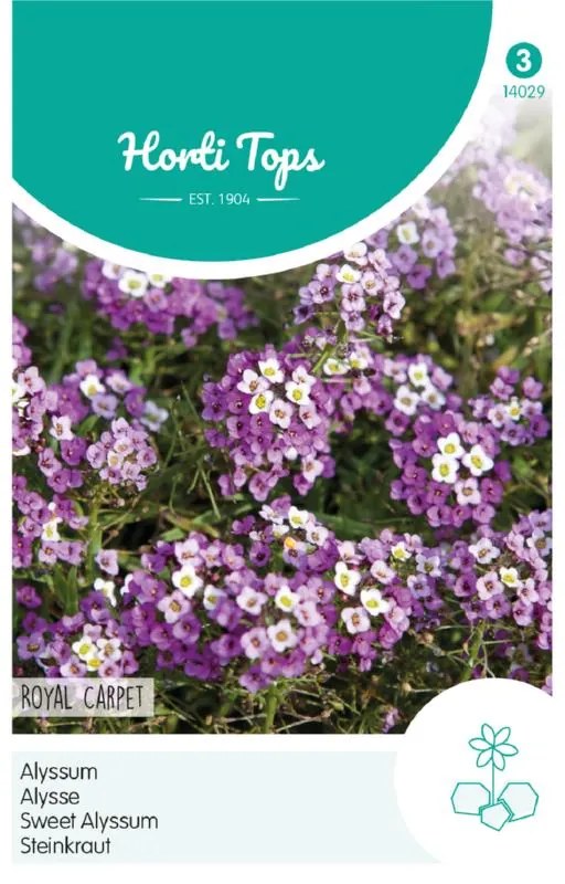 Alyssum - Royal Carpet