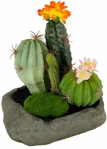 HOME AFFAIRE kunstplant »Cactussen« op steen