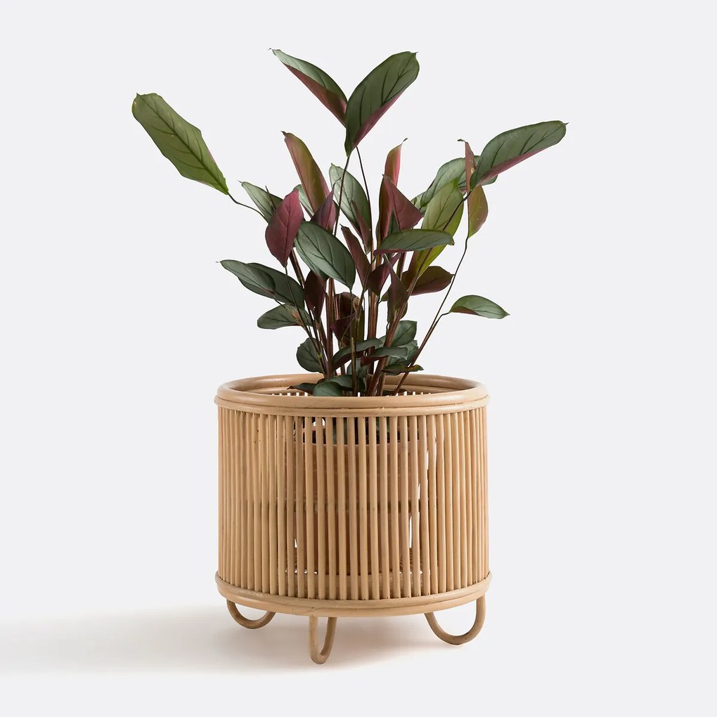 Bloempot op pootjes in rotanØ32 cm, Malu