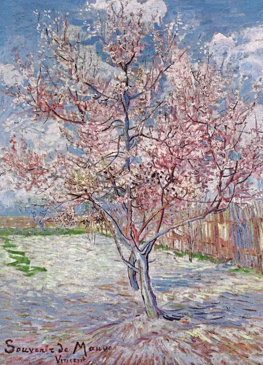 Souvenir de Mauve - Pink Peach Tree in Blossom, 1888 Kunstdruk, Vincent van Gogh, (24 x 30 cm)