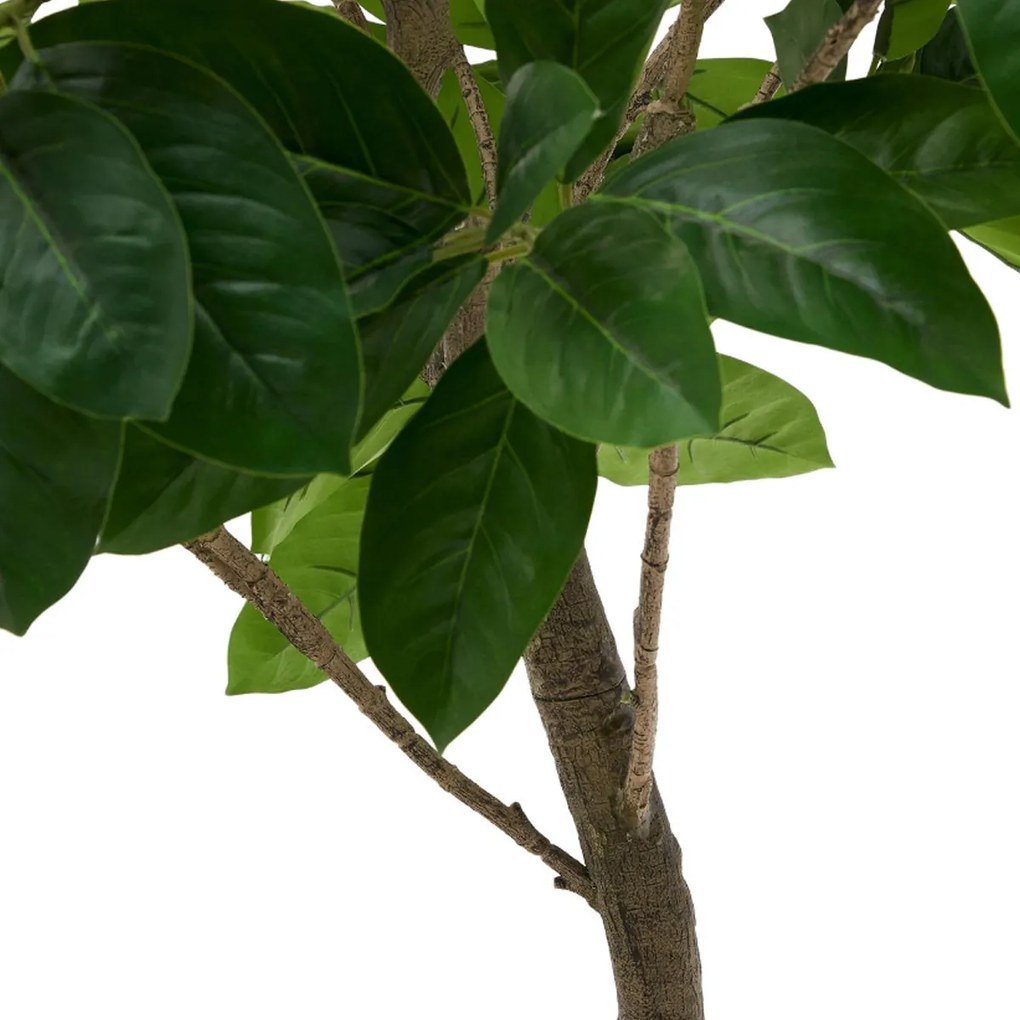 Kave Home Ficus Grote Ficus Kunstboom 210 Cm