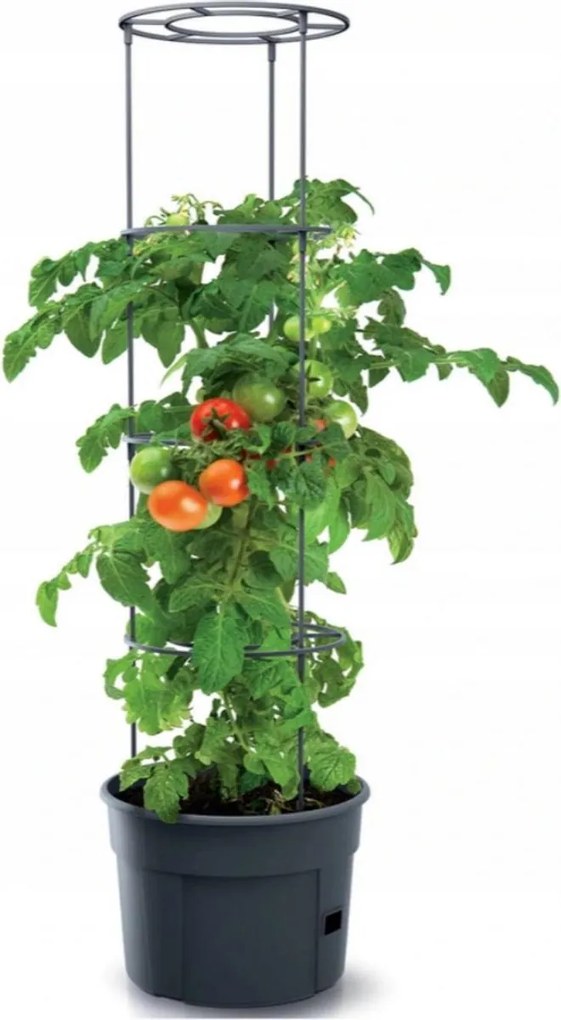 Prosperplast Tomato Grower Tomatenpot - Antraciet -Ø 29,5 cm - 12 Liter