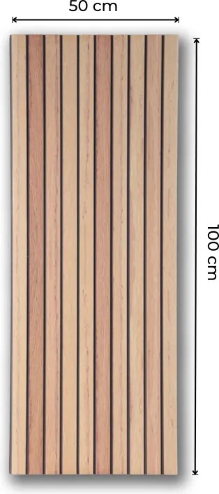 AKU Paneel EPS Classic Oak 100x50cm | Paneli 3d wandpanelen