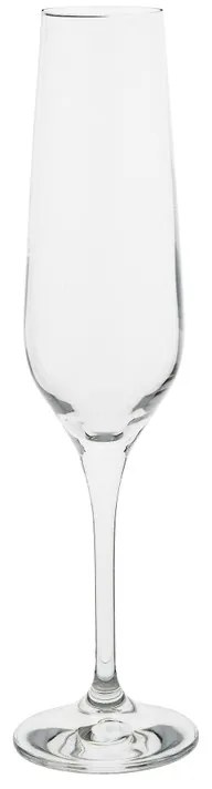 Champagneglas - 19,5 cl