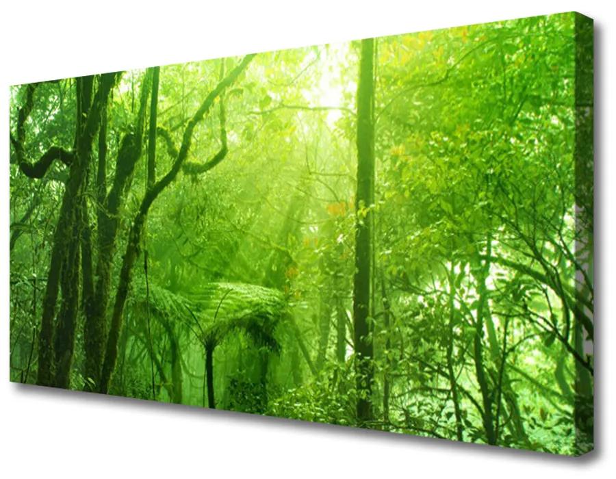 Print van doek Bomen natuur 100x50 cm