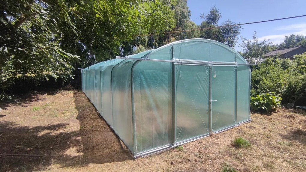 Filclair Elegant tunnelserre - 4,20 x 10,50m - 44,1m²