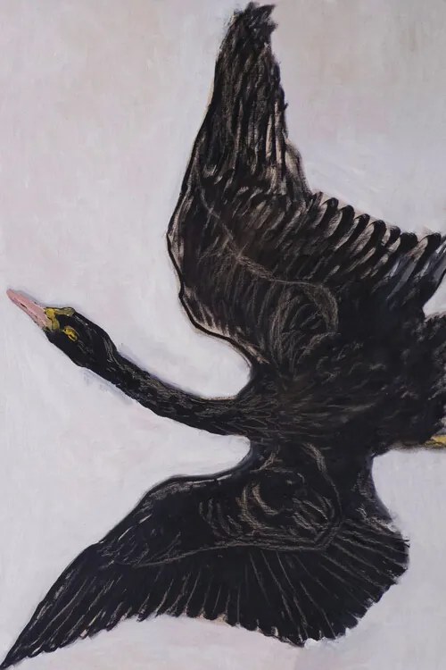 Kunstreproductie The Black Swan (2 of 2), Hilma af Klint