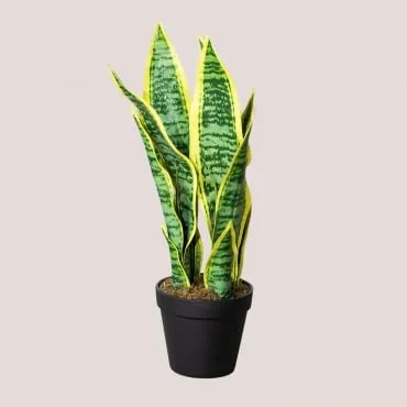Decoratieve Kunstplant ↑45 Cm Sansevieria ↑45 Cm - Sklum