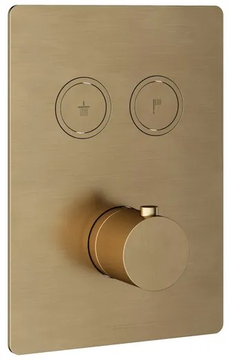 Hotbath Cobber afbouwdeel inbouwthermostaat met 2 pushbuttons geborsteld messing (goud) PB009QEXTBB
