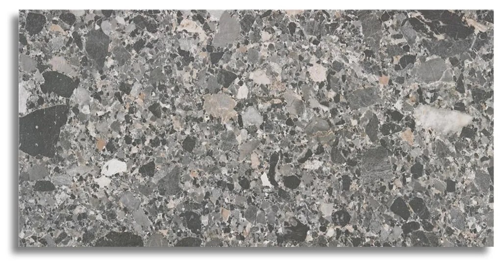 Vloertegel 60x120 Cm Terrazzo Animo Antraciet N57