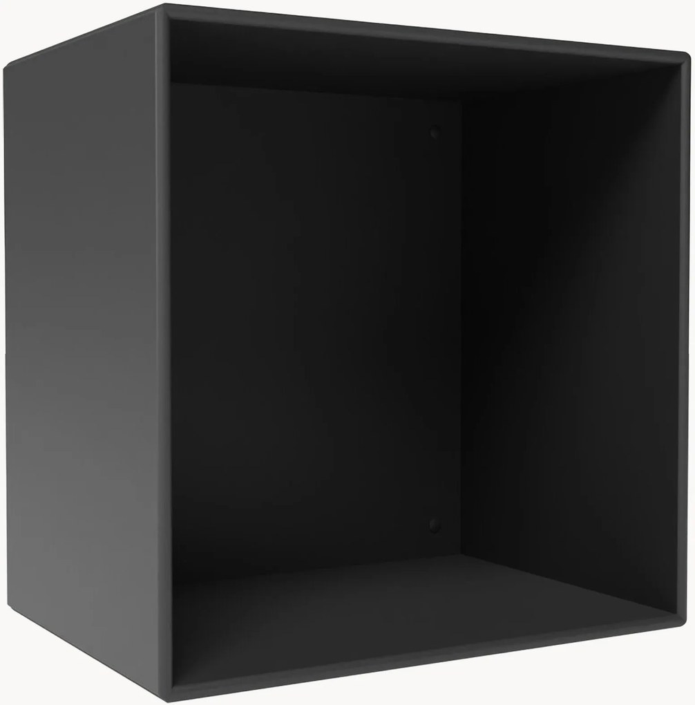 Module Mini 1001