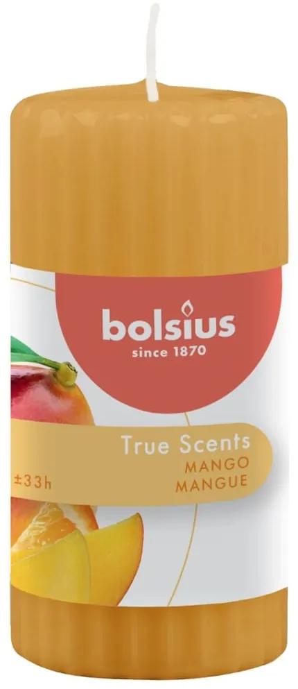 Bolsius Geurstompkaarsen geribbeld mango 6 st True Scents 120x58 mm