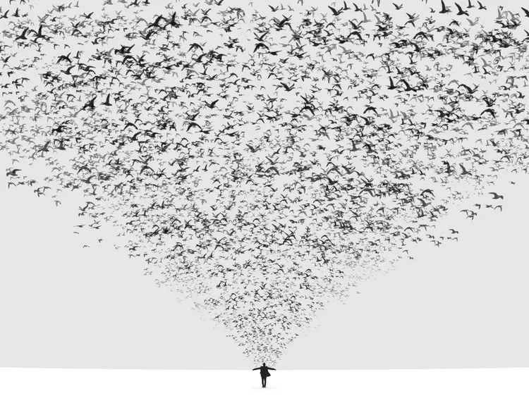 Foto The Dark Half, Hossein	Zare