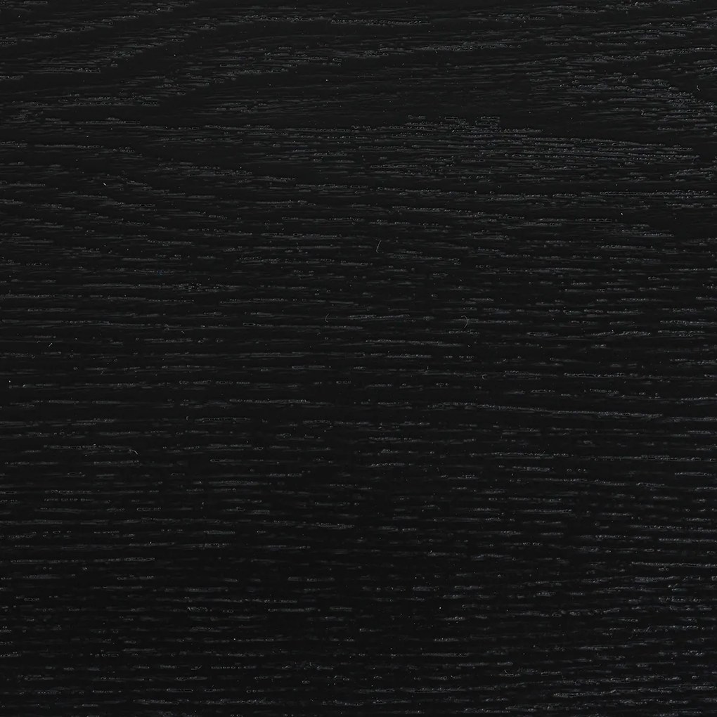 Houten Eetkamerstoel Zwart Minimalistisch