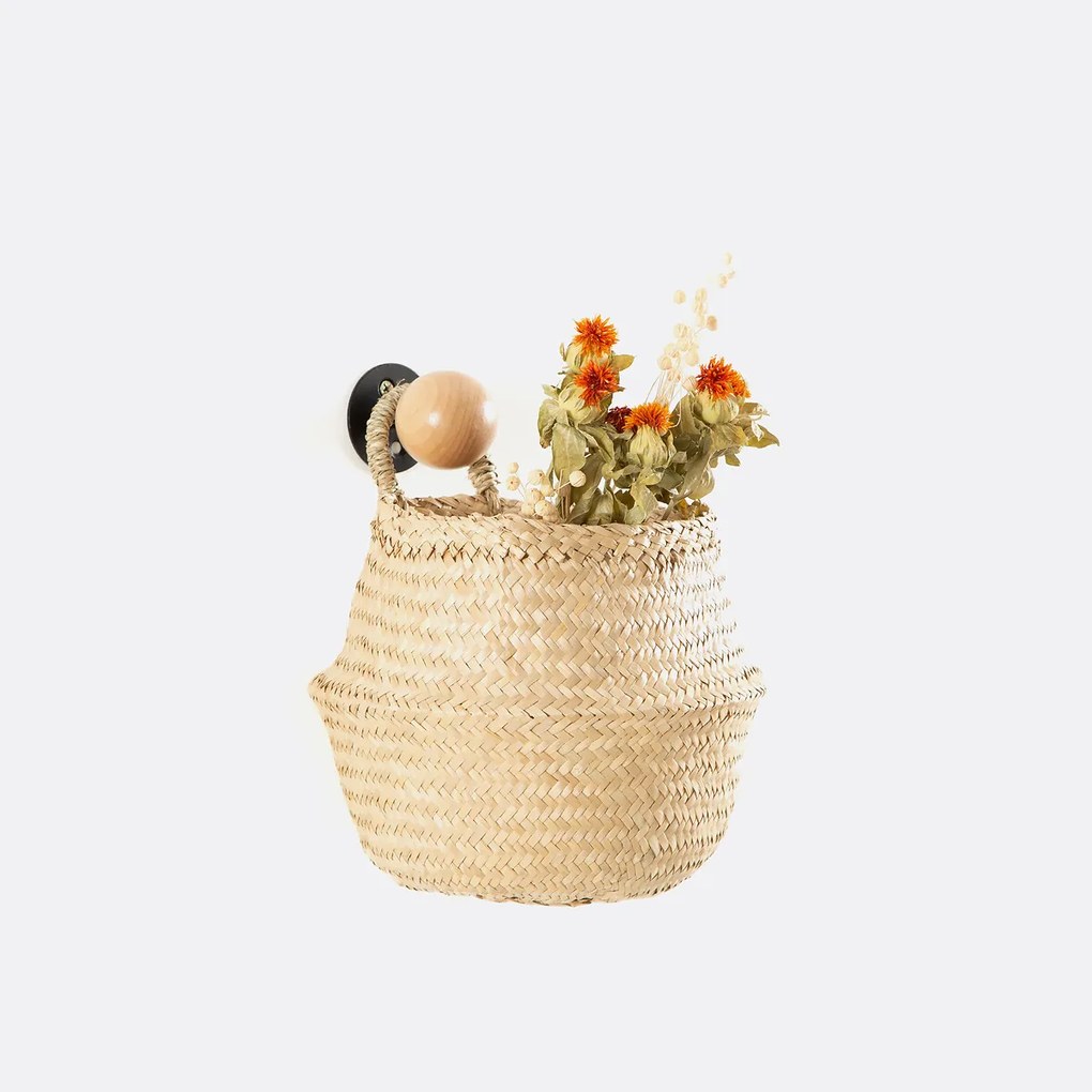 Bolvormige mand in herbarium, Rixy