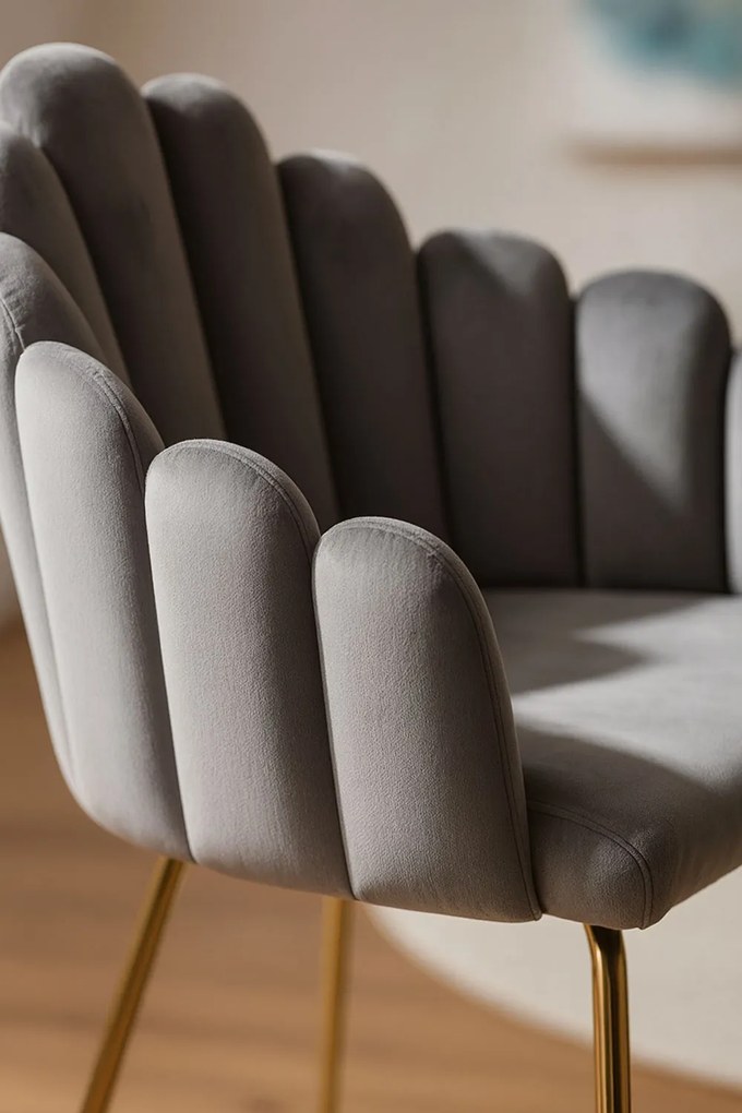 Bhoja stoel van fluweel