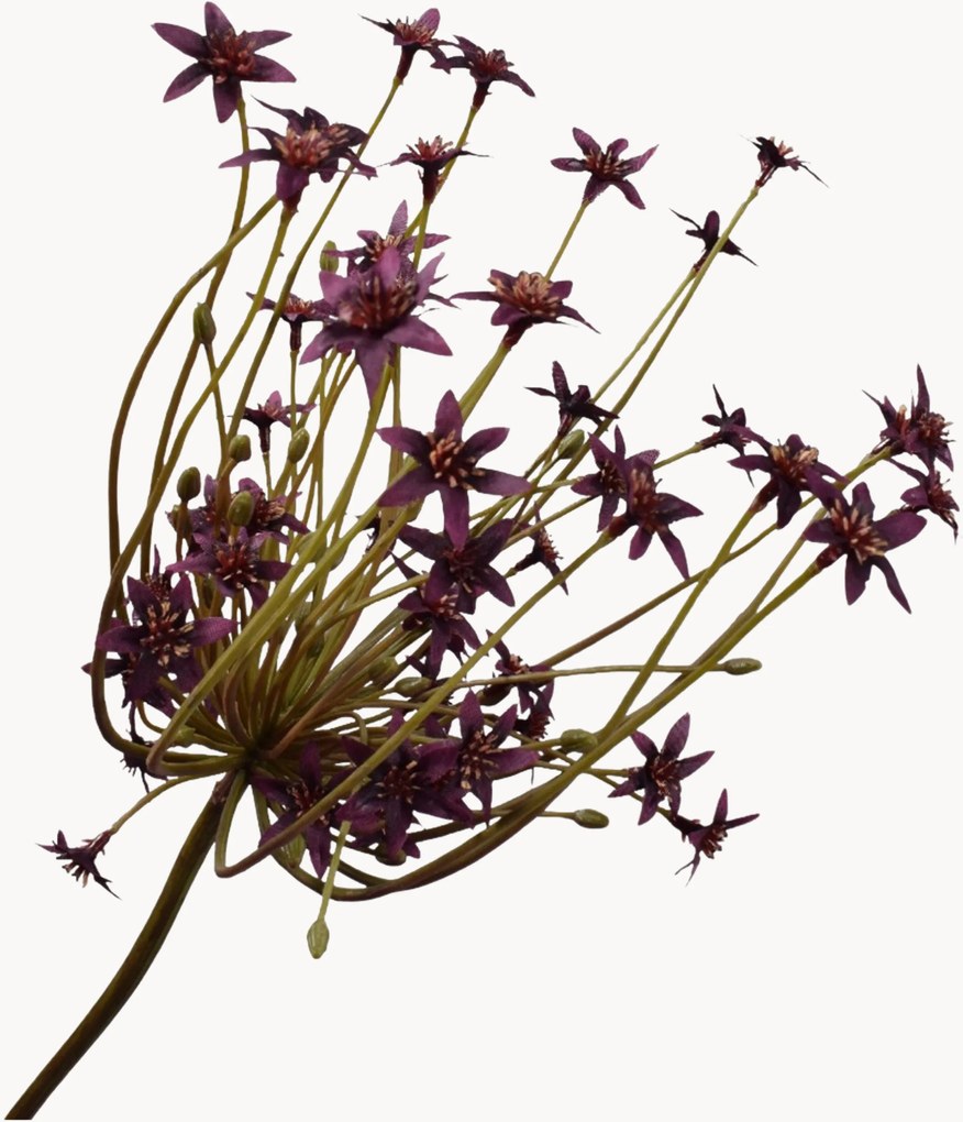 Handgemaakte kunsttakken Ornithogalum, 4-delig