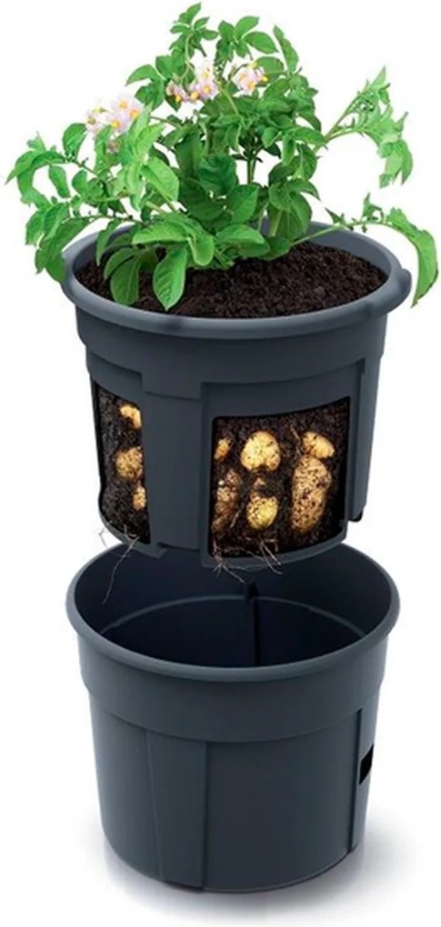 Prosperplast Potato Grower Aardappelkweekbak - Antraciet - 28 Liter - 39 x 39 cm