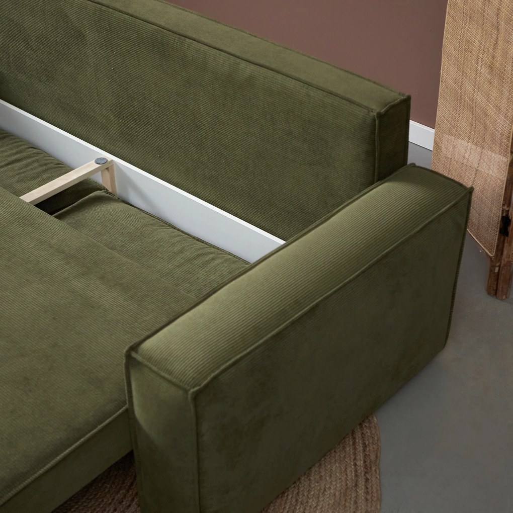 Tweepersoons Slaapbank Ribstof Groen