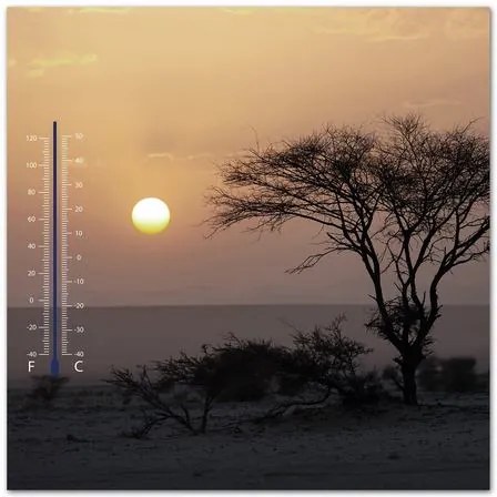 HOME AFFAIRE thermometer artprint »Zee bij zonsondergang 30x30 cm