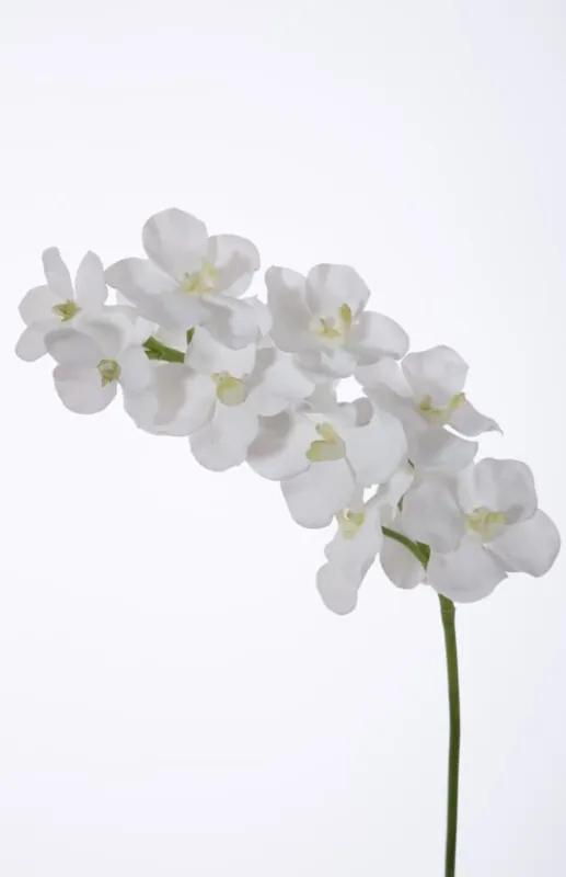Orchidee Vanda - zijden bloem - wit - topkwaliteit