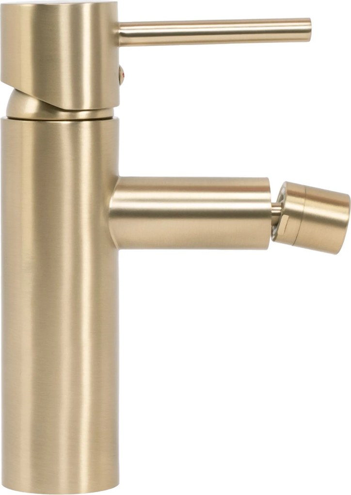 Bidetmengkraan Rea Tess Gold Brush