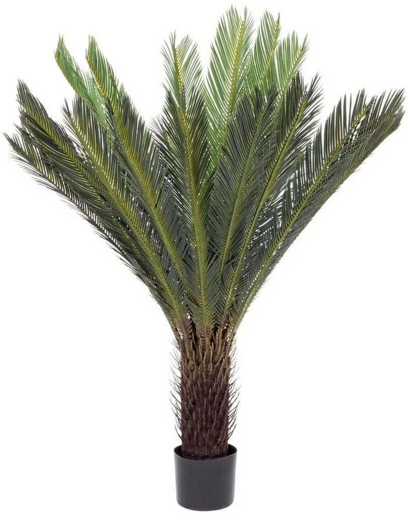 Bizzotto | Kunst cycas palm Cyca