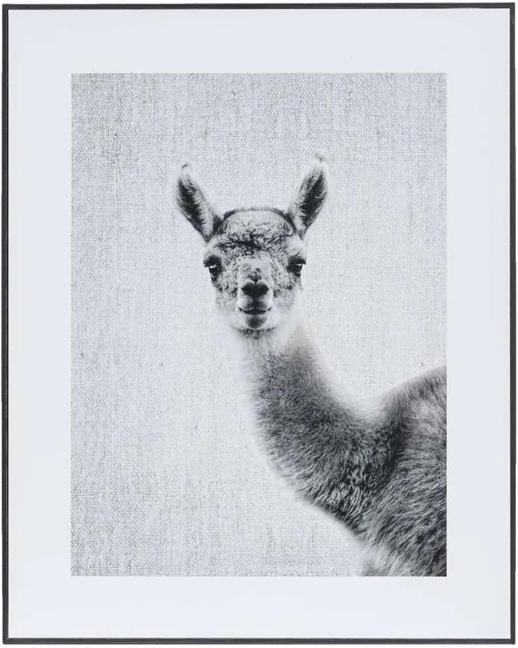 Schilderij Lieve Lama - zwart/wit/grijs - 40x50 cm - Leen Bakker