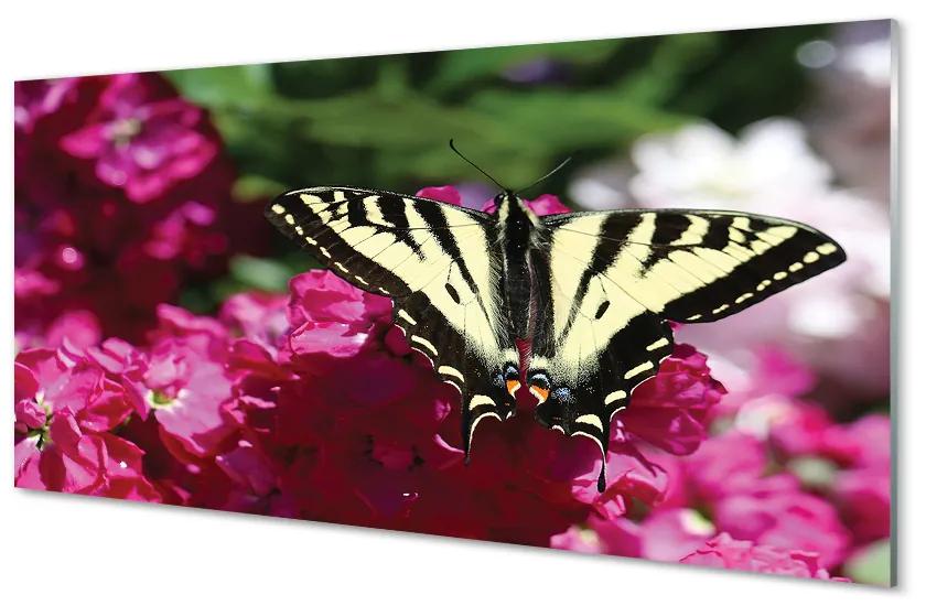 Foto op plexiglas Vlinderbloemen 100x50 cm