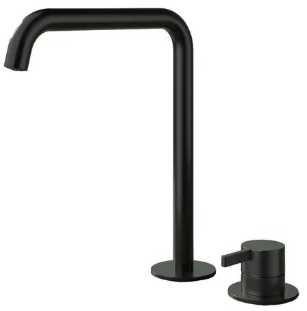 Hotbath Ace Wastafelmengkraan - hoog - opbouw - draaibare uitloop - 2gats - PVD - zwart geborsteld PVD AC023HMBP
