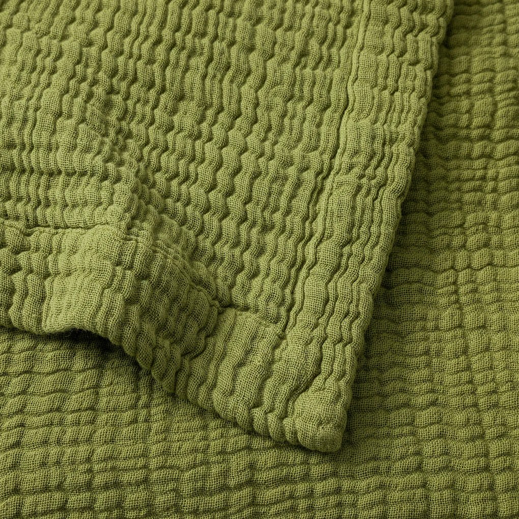 Plaid van tetra, Yafa