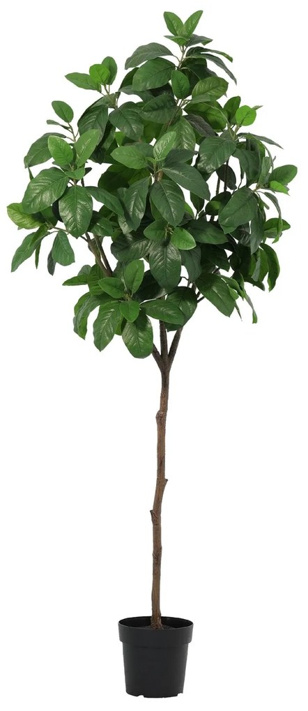 Kunst Magnolia - 190cm