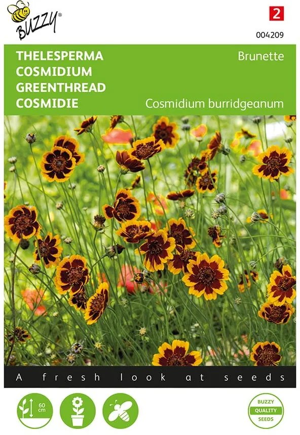 Buzzy seeds - bloemzaden - Cosmidium, Thelesperma Brunette