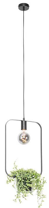 Moderne hanglamp zwart met glas rechthoekig - Roslini Modern E27 Binnenverlichting Lamp