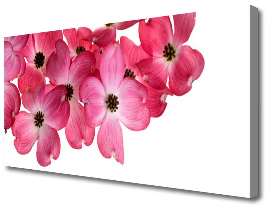Canvas foto Flowers on the wall 100x50 cm