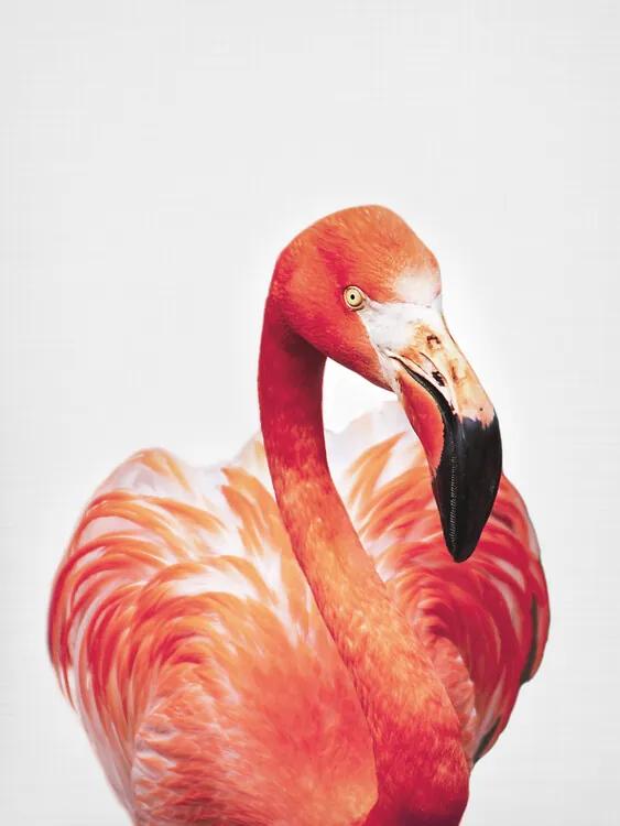 Fotobehang Flamingo, (96 x 128 cm)