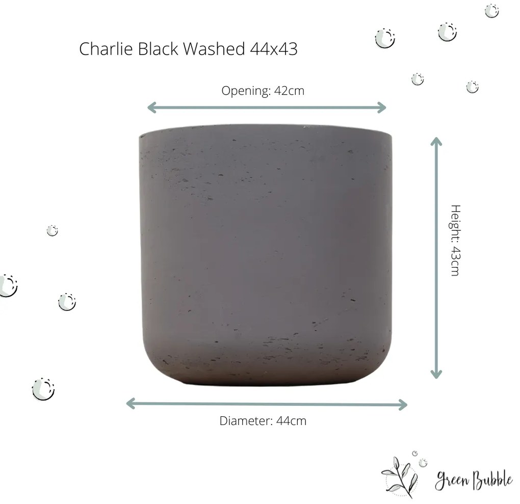 Pot Charlie Black Washed