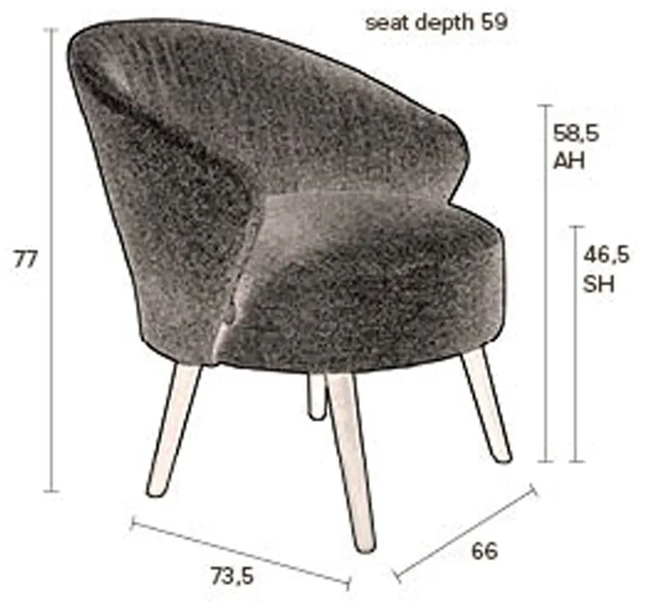 Highdi 2-delige vleugelfauteuilhoes, stoelhoezen voor vleugelfauteuil Eenvoudige Jacquard Verdikte Beschermhoezen Stoelhoes Strandmon Tijger
